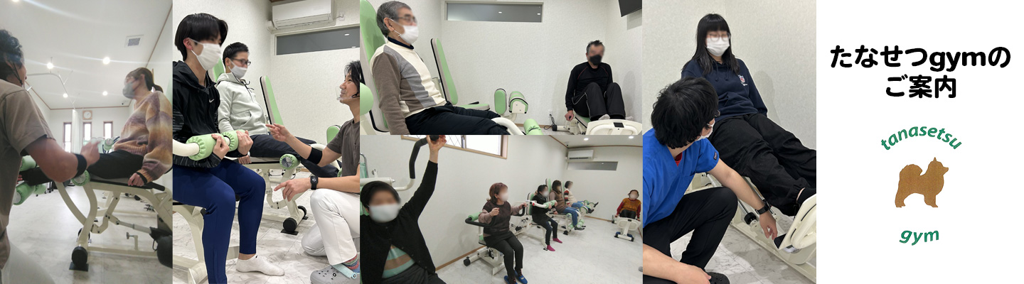 たなせつgymのご案内