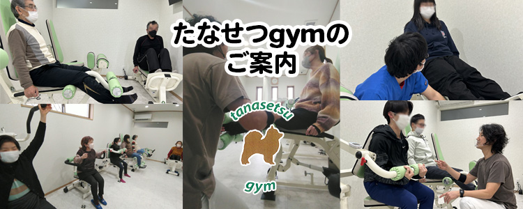たなせつgymのご案内